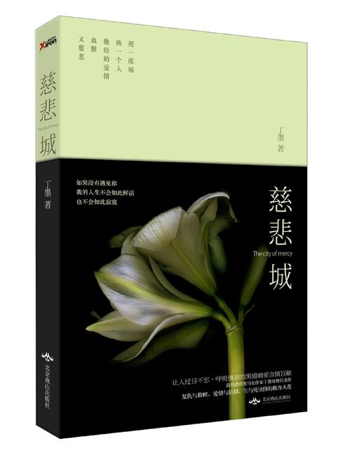 慈悲城在线全文阅读_无弹窗免费小说