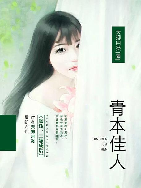 青本佳人在线阅读-优质小说全文免费阅读平台