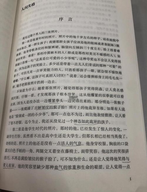 《夫人每天都在线打脸》免费阅读全文-热门爽文推荐