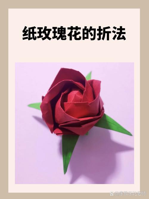 纸玫瑰全文免费在线阅读 - 经典言情小说