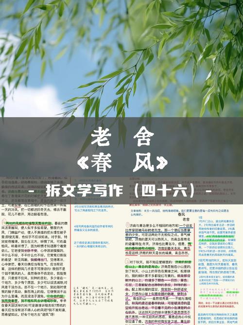 老房子的春天全文免费阅读 | 在线翻新旧居故事