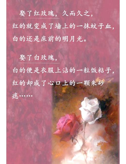 傲娇校花痞高手全文阅读-热门小说在线无弹窗