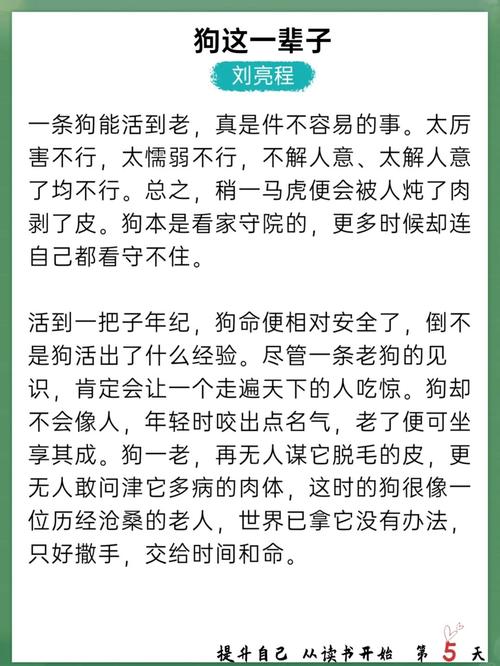 人狗合集全文在线阅读 - 人与狗的感人故事合集