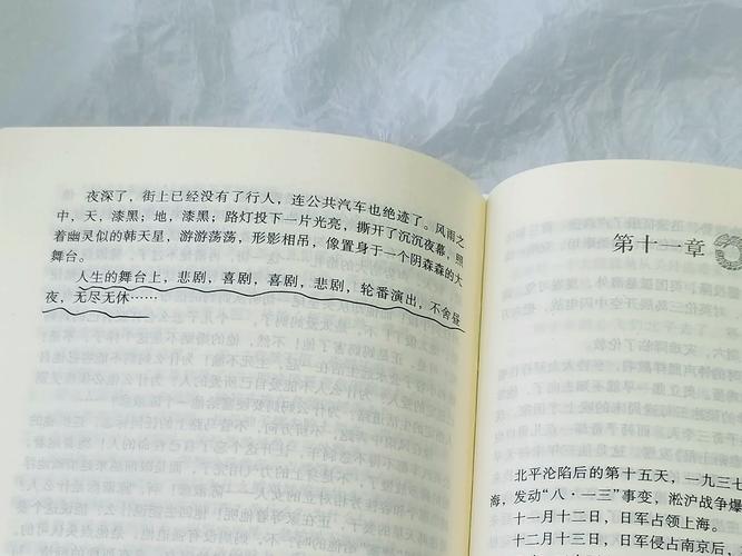 《窗外的窗》高清全文免费在线阅读 | 精品小说推荐