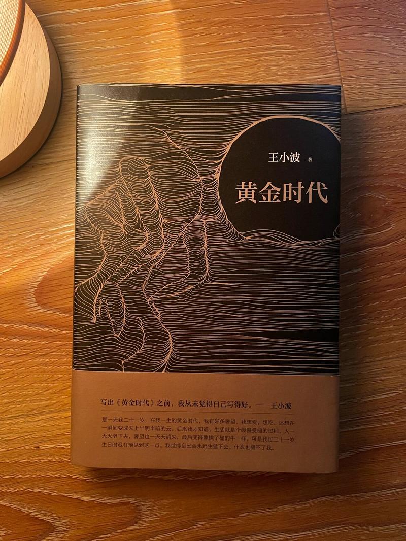 黄金时代在线阅读 | 王小波经典小说全文免费阅读