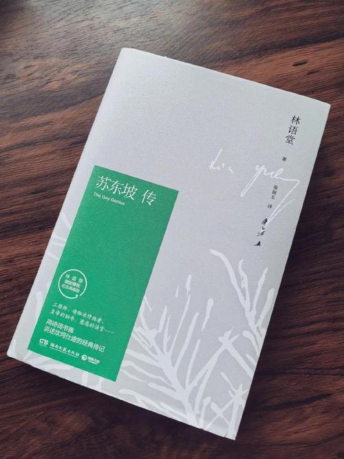 再青春小说全文免费在线阅读