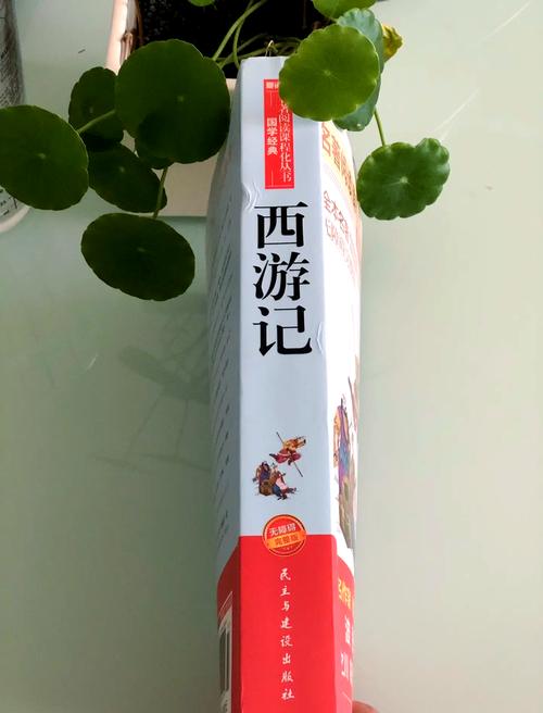 《十宗罪7》小说全文在线免费阅读｜悬疑罪案推理最新章节
