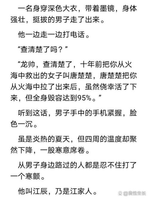 江辰唐楚楚全文免费阅读_小说最新章节_无弹窗在线看