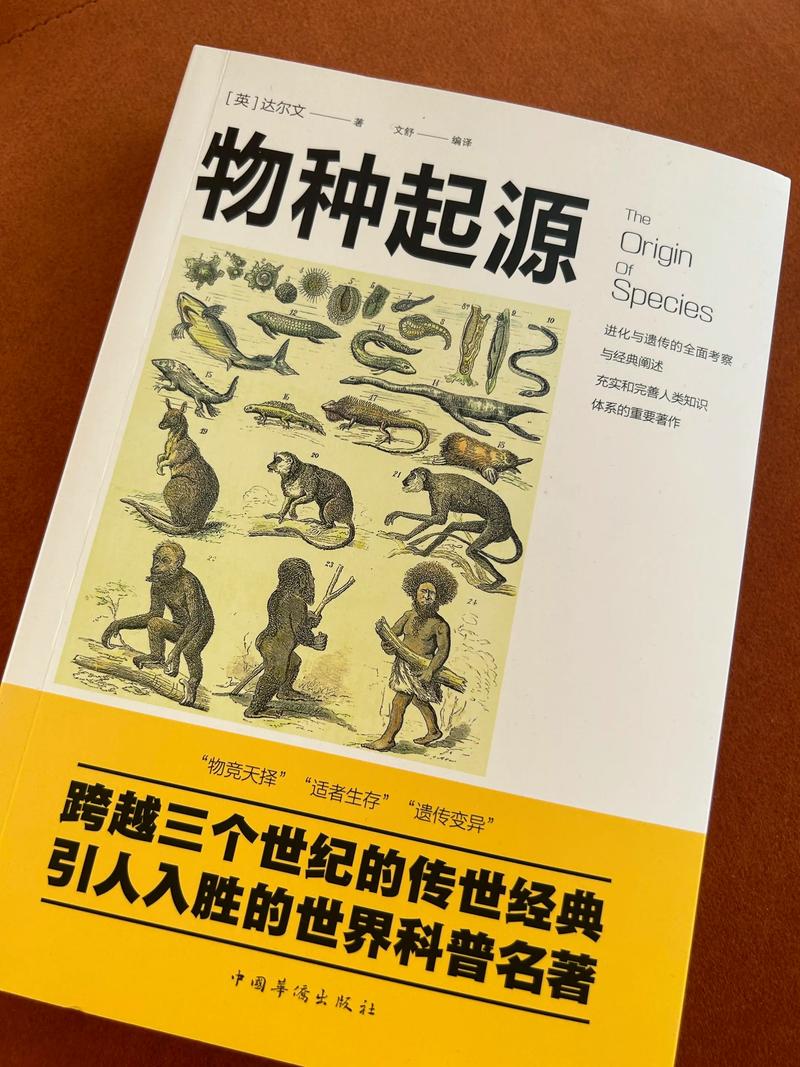 花火杂志短篇在线阅读：那些藏在青春里的心动瞬间