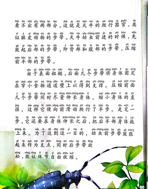 西行漫记在线阅读 | 斯诺经典纪实作品全文