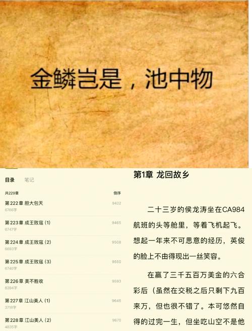 金陵岂是池中物在线阅读全文 | 经典小说免费章节一览