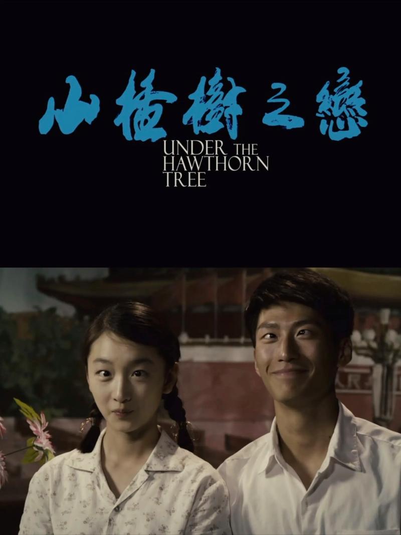山楂树之恋全文在线阅读 | 纯美爱情小说经典