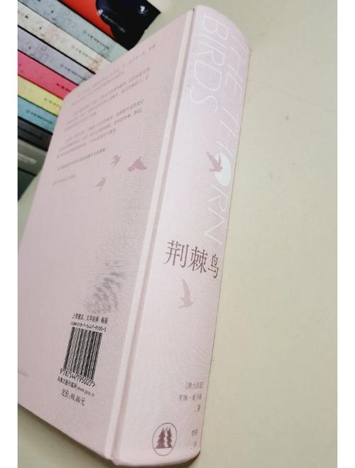 妙医圣手在线阅读免费 | 全本无弹窗