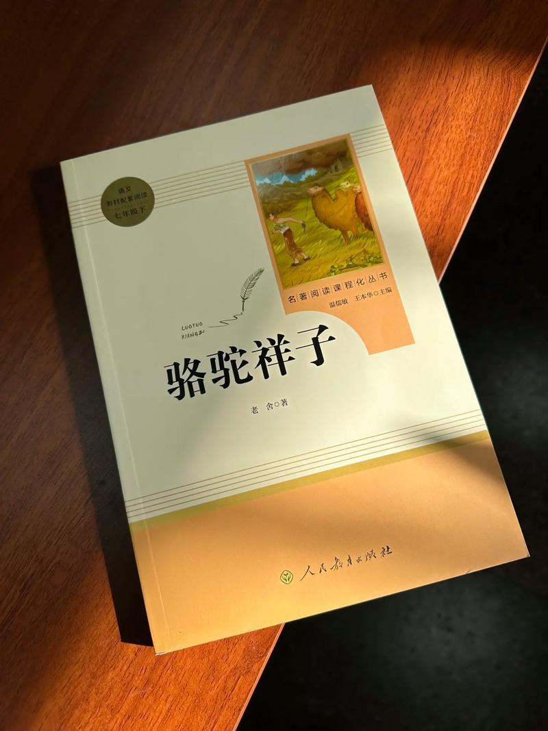 黄帝内经在线阅读｜经典中医古籍原文完整版
