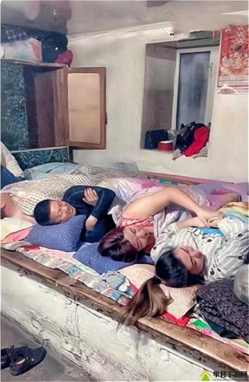 东北大炕在线阅读 - 感受东北乡土风情与温暖炕头故事