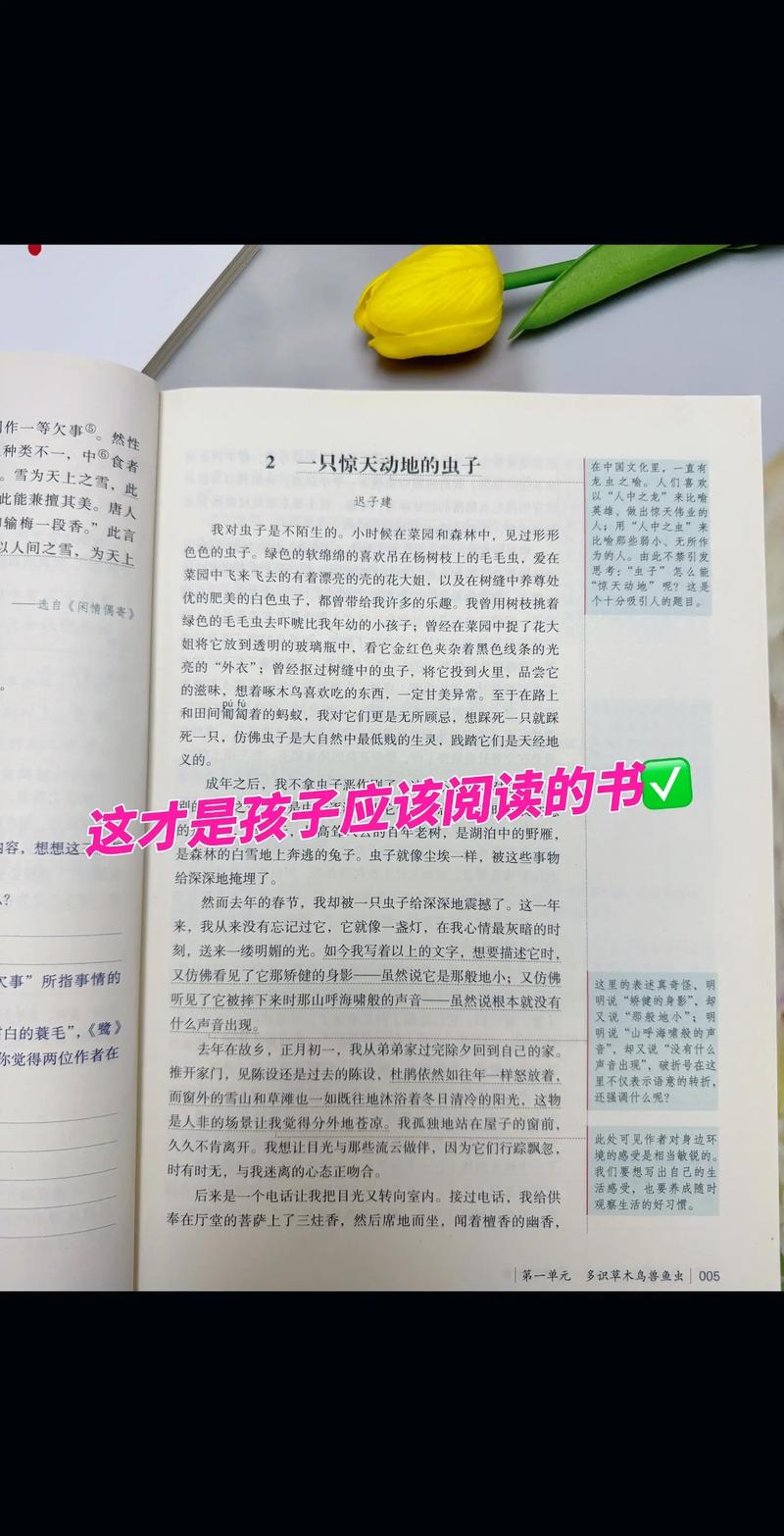 天眼萌妻全文免费阅读 - 天眼萌妻小说在线看