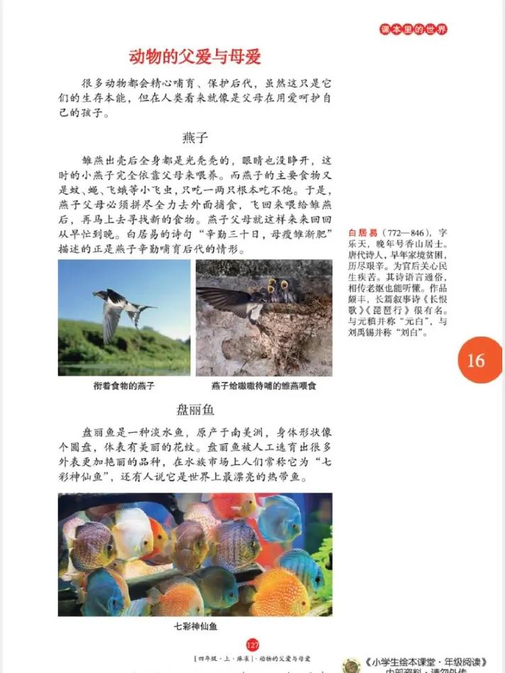 最强狂兵在线阅读 - 大红大紫著