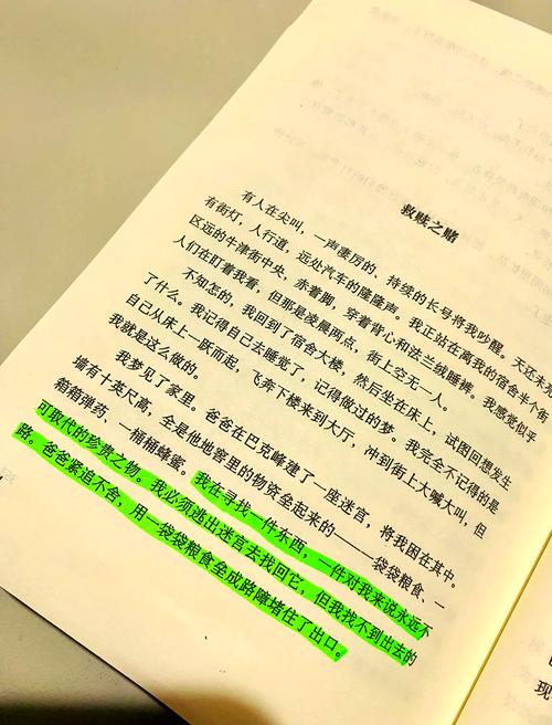 你当像鸟飞往你的山在线阅读 | 塔拉·韦斯特弗自传