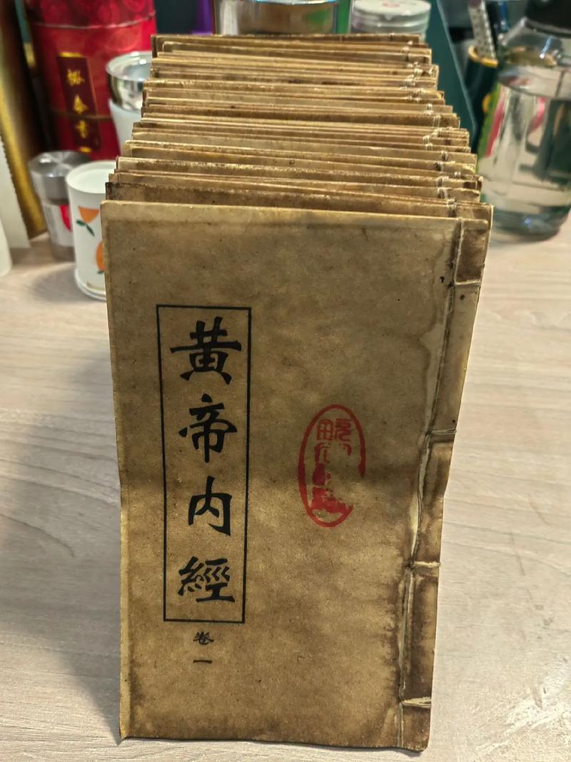 最爱你的那十年全文免费在线阅读 | 经典虐恋小说