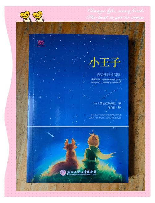 她比烟花还耀眼全文免费阅读 - 热门小说在线观看