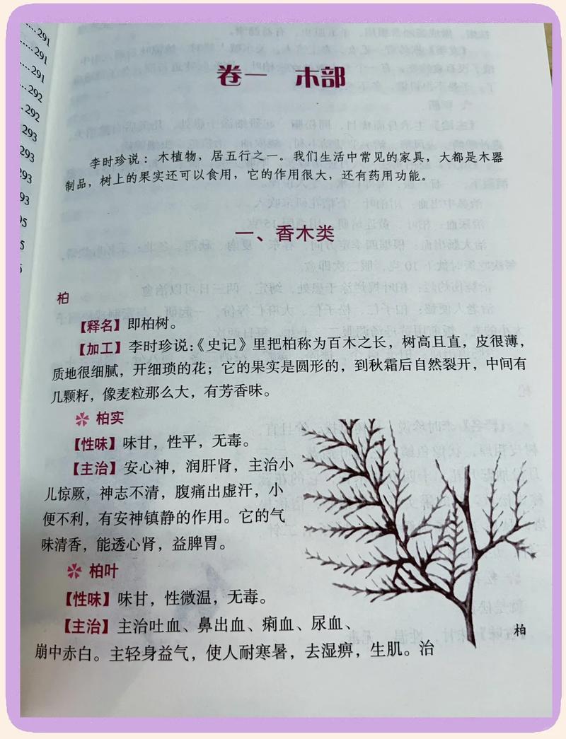 《本草纲目》在线阅读|完整版古籍原文·白话翻译·药材图谱全收录