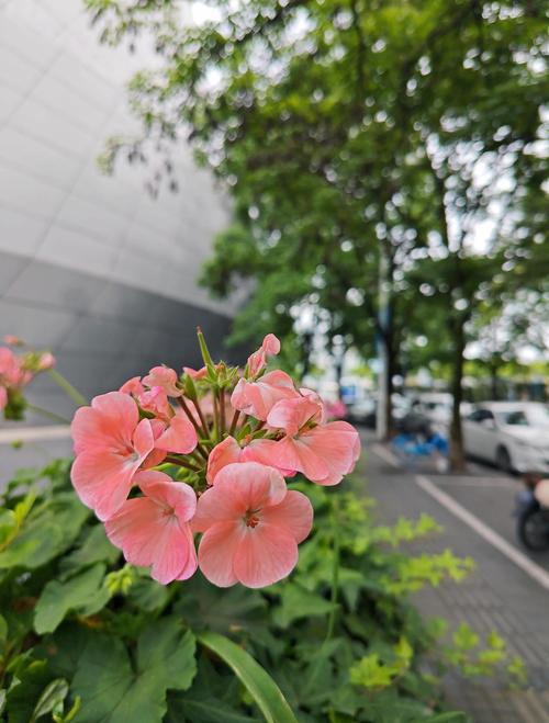 帝霸在线全文免费阅读，无广告弹窗高清版