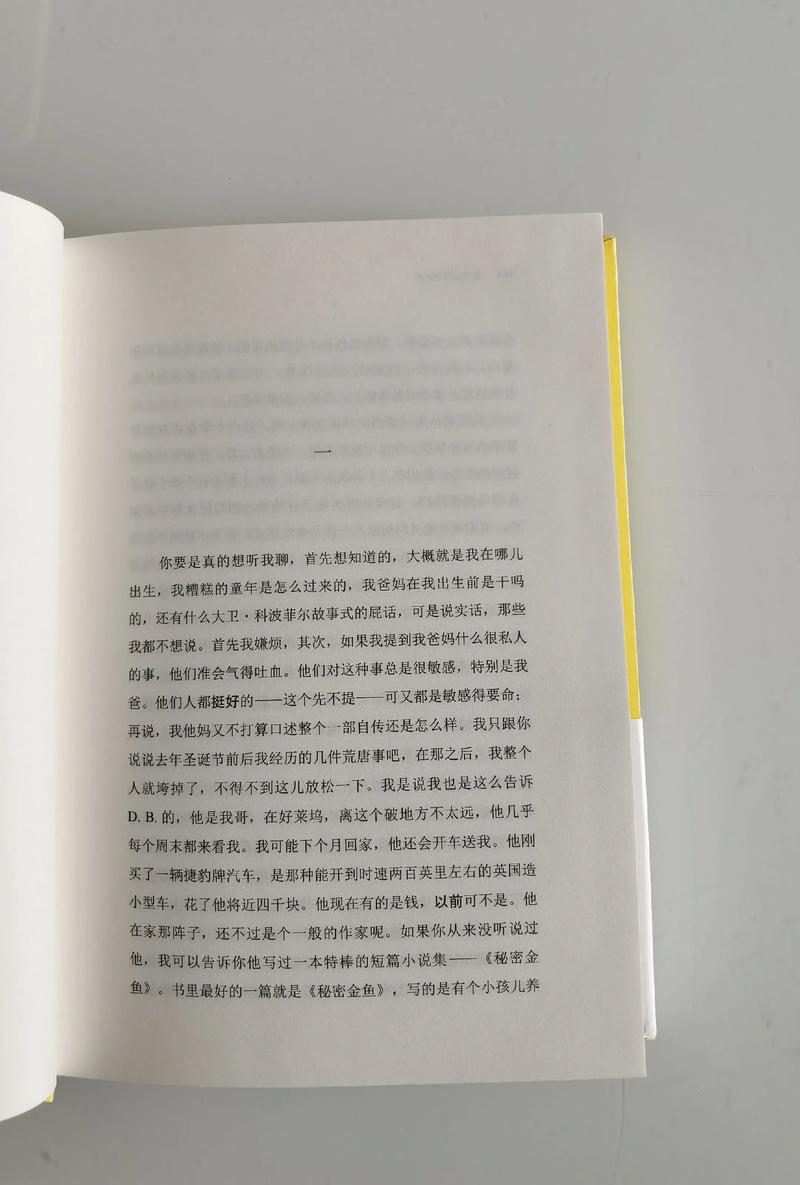麦田里的守望者在线阅读｜J.D.塞林格经典成长小说