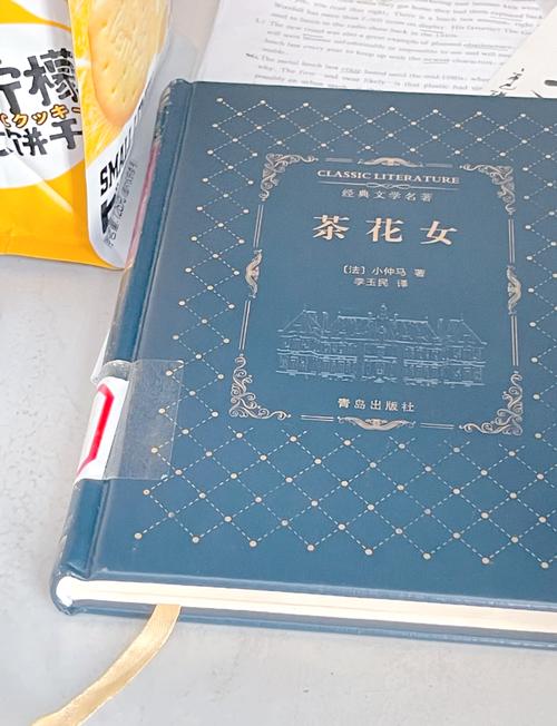 茶花女全文在线阅读 | 小仲马经典爱情悲剧小说免费阅读