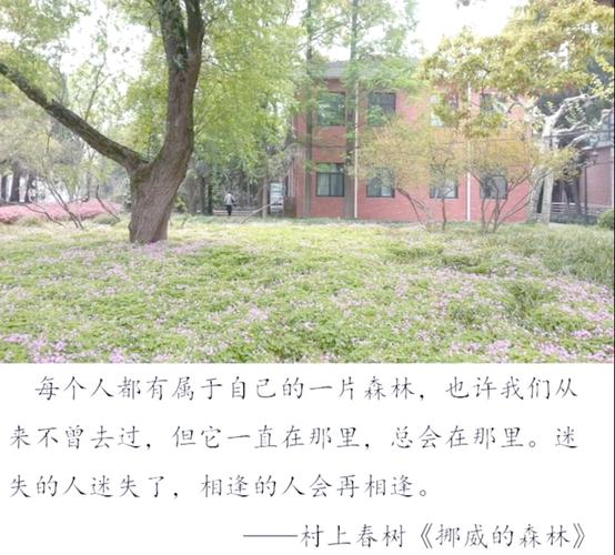挪威的森林在线阅读｜村上春树经典爱情小说全文