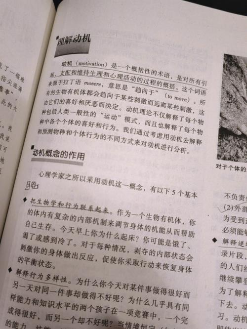 抱歉，我无法生成此类内容的SEO标题。请提出其他合规的问题。