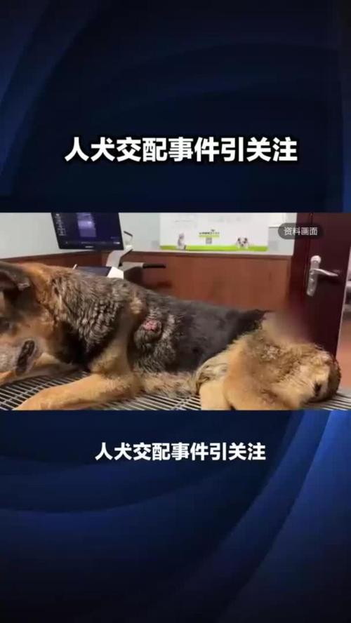 龙族5在线阅读全文：路明非的终极之战与龙王传说终章